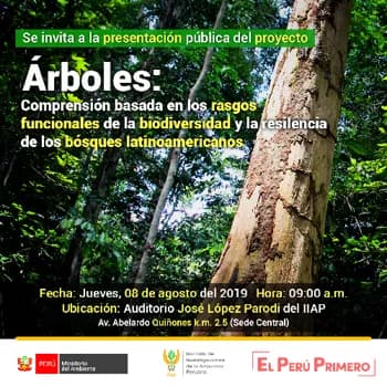 “ARBOLES: Comprensión basada en los rasgos funcionales de la biodiversidad y la resiliencia de los bosques latinoamericanos”